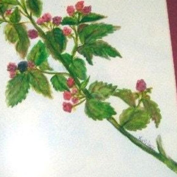 Framed Watercolor Painting Raspberries Original Artwork 19x15 Signed Authentic - Picture 2 of 9